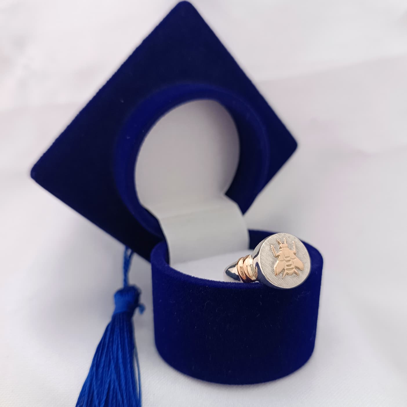 Anillos Profesión Maestra Logo Clásico