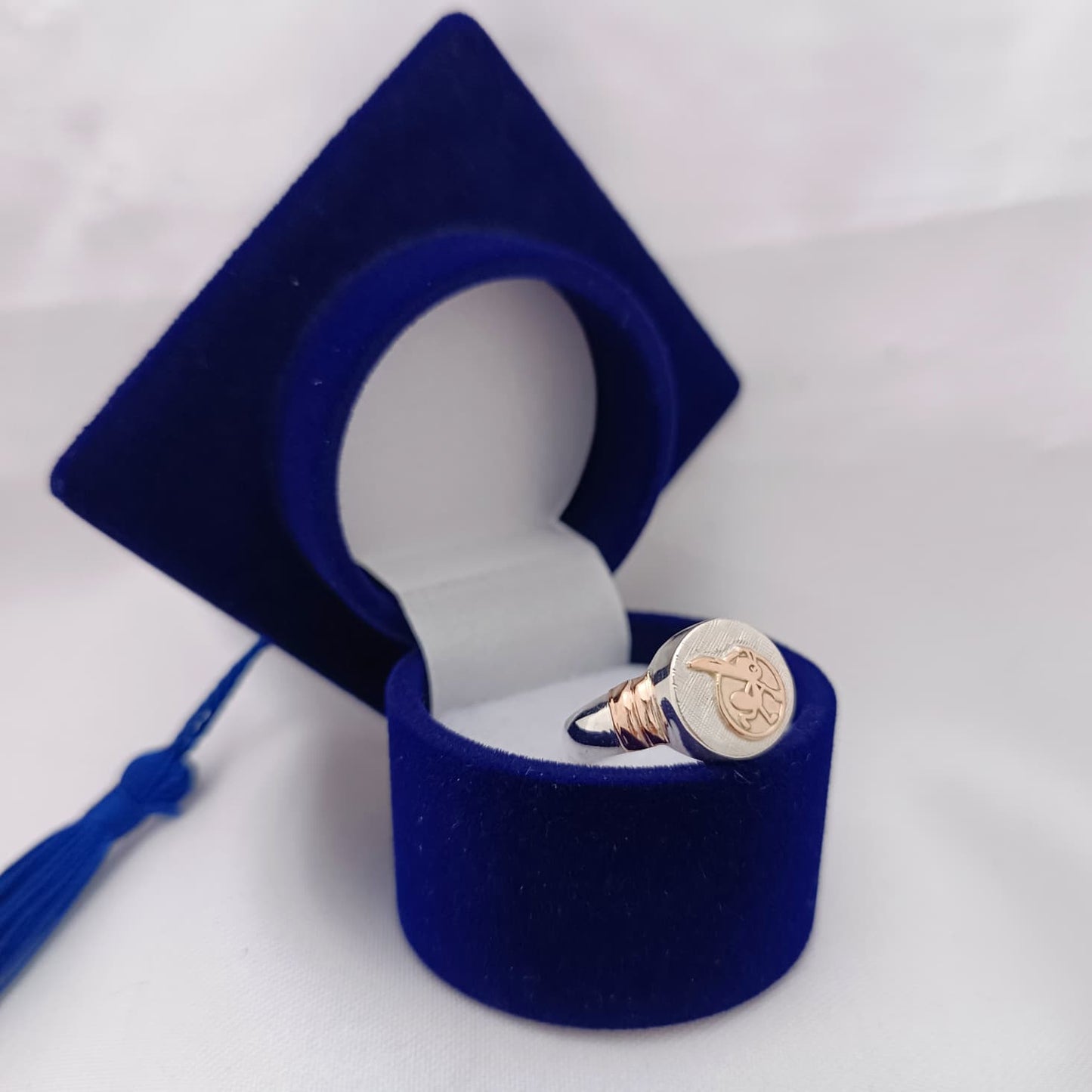 Anillos Profesión Educadora