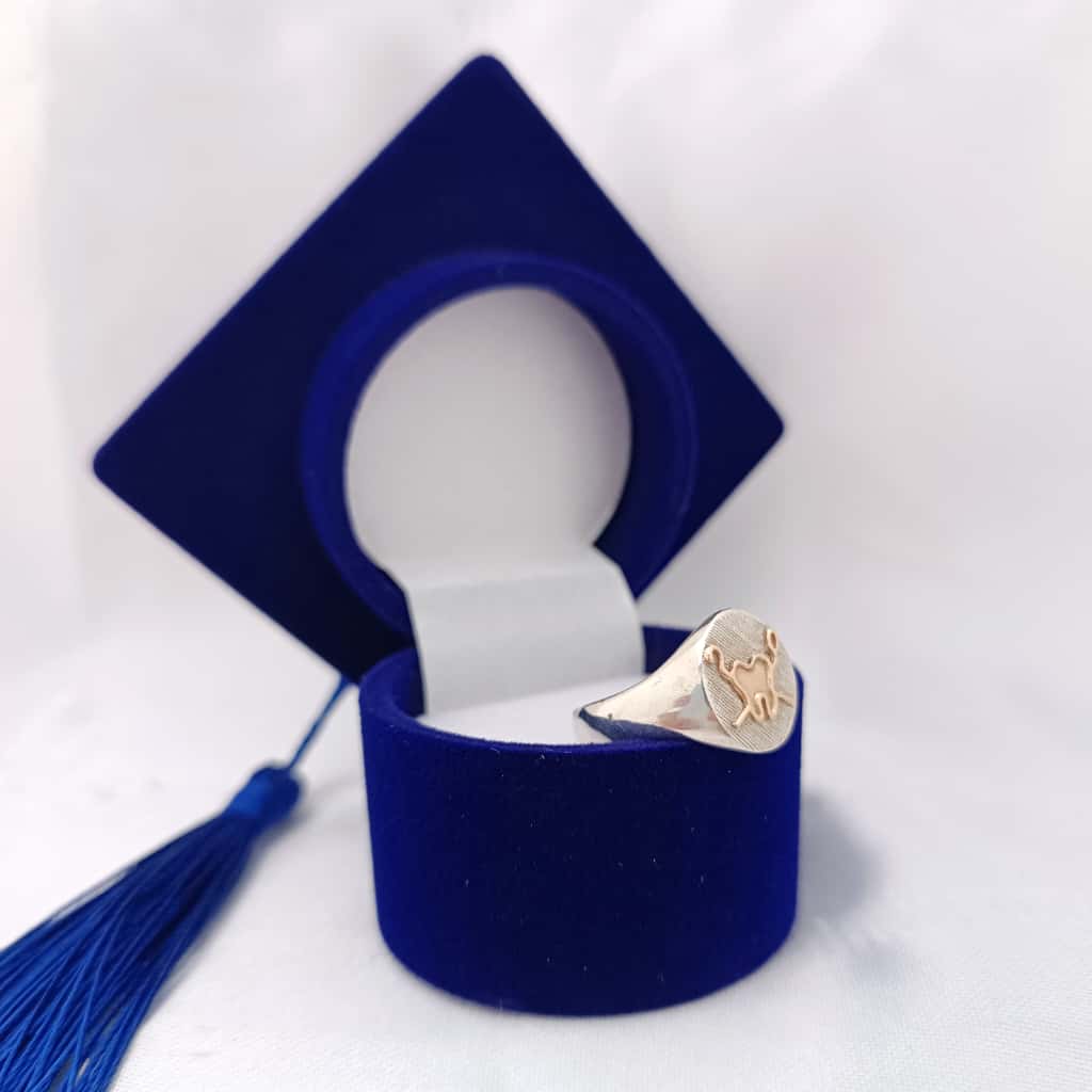 Anillos Profesión Salud