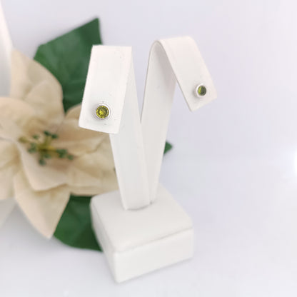 Caravanas Diferentes Modelos