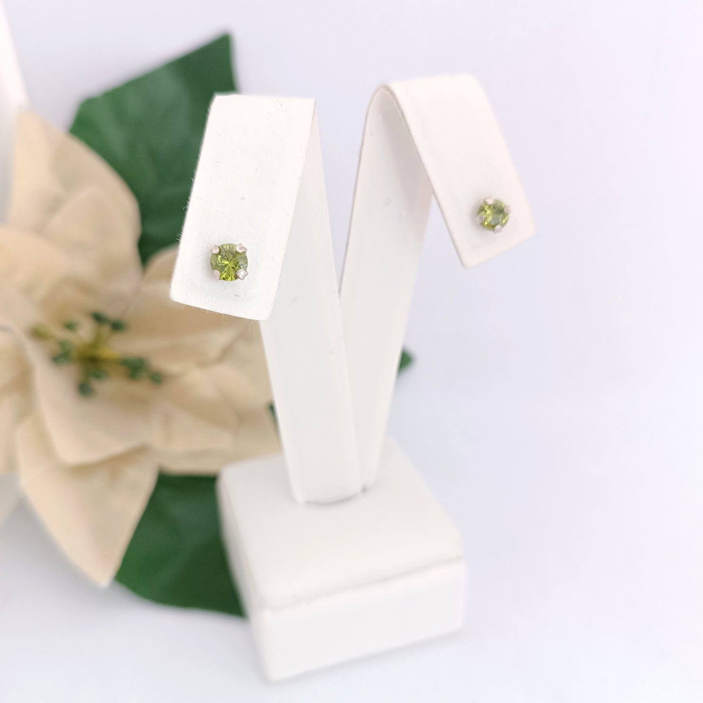 Caravanas Diferentes Modelos