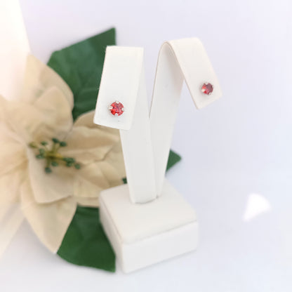 Caravanas Diferentes Modelos