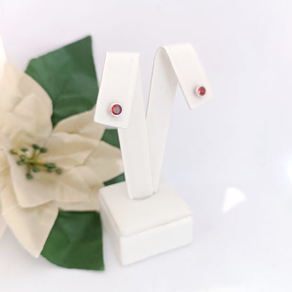 Caravanas Diferentes Modelos