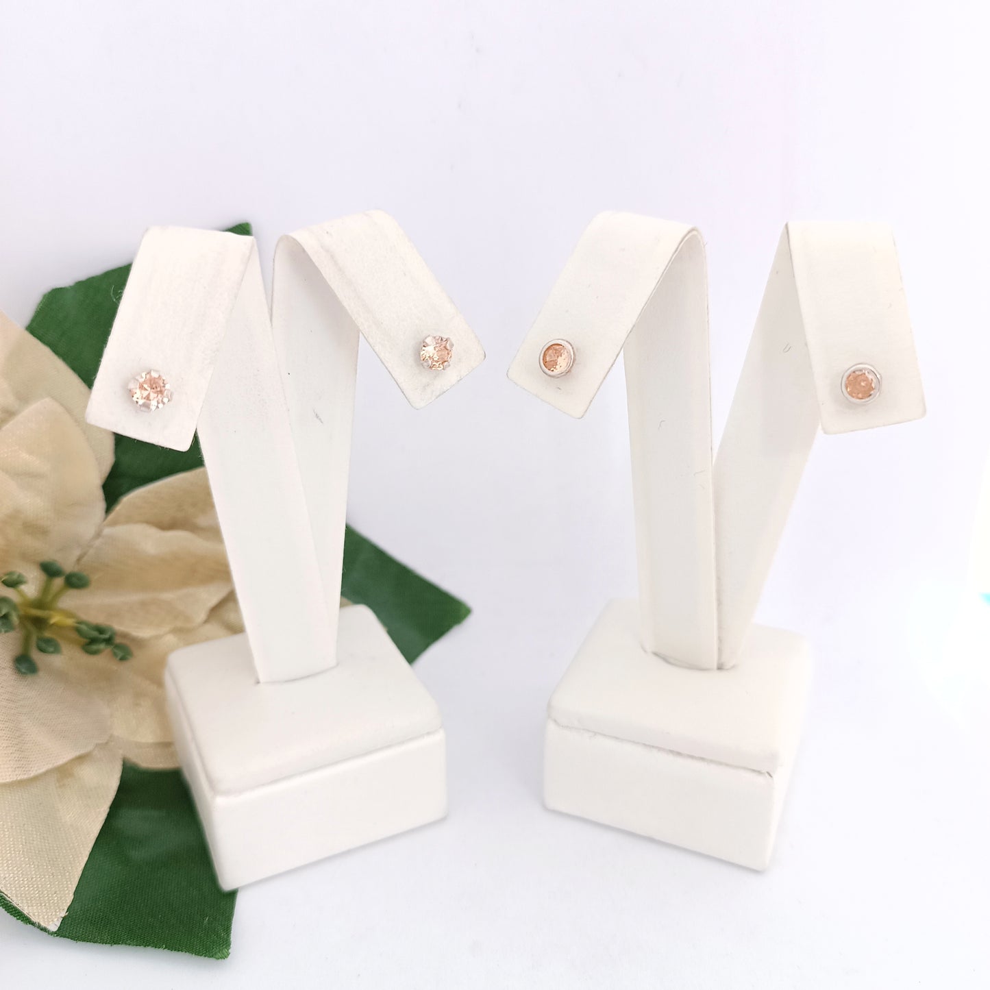 Caravanas Diferentes Modelos