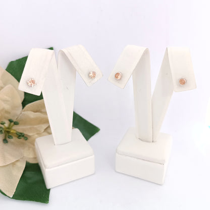 Caravanas Diferentes Modelos