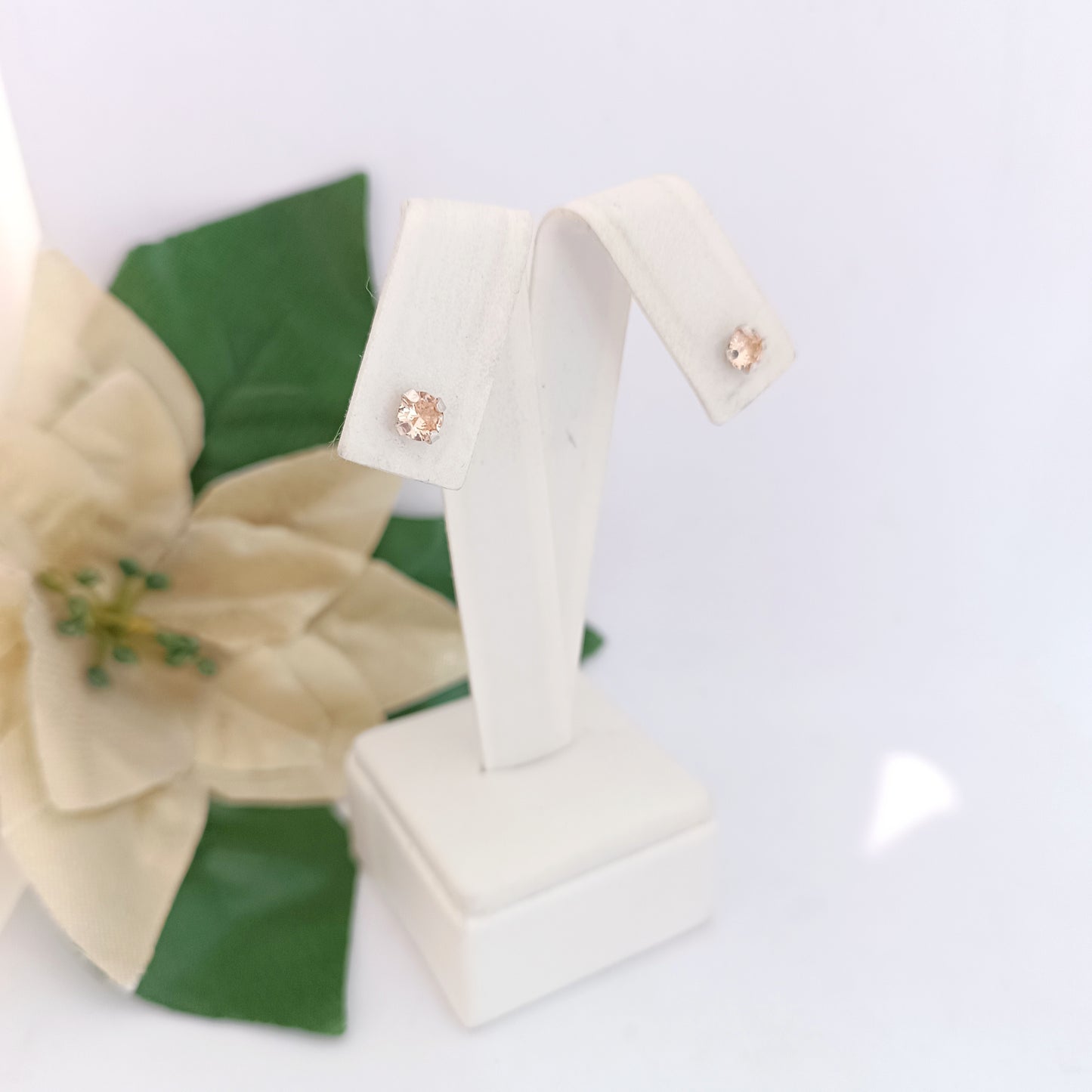 Caravanas Diferentes Modelos