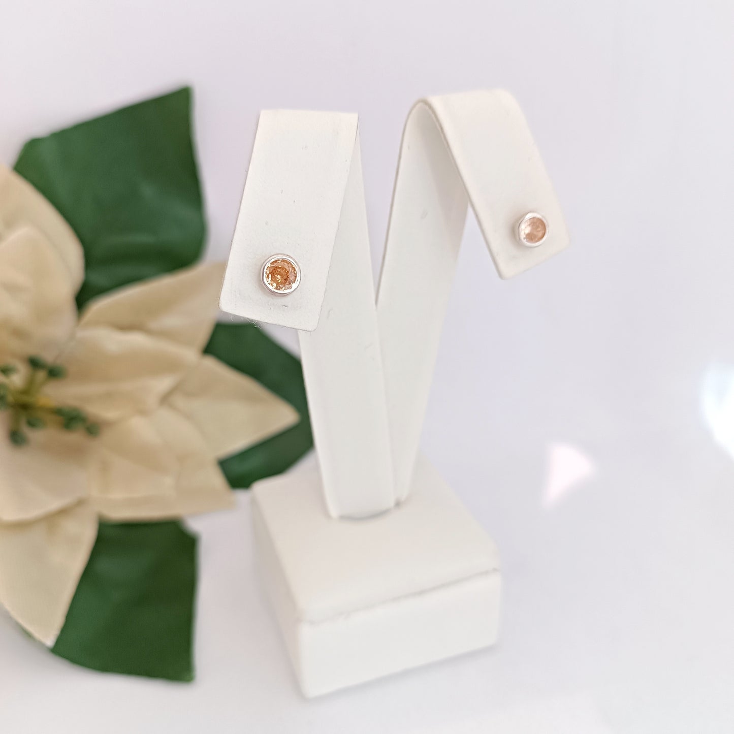 Caravanas Diferentes Modelos