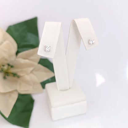 Caravanas Diferentes Modelos