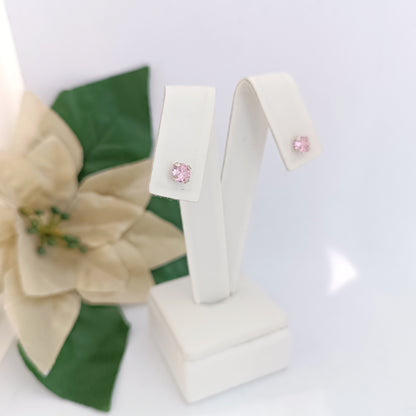 Caravanas Diferentes Modelos