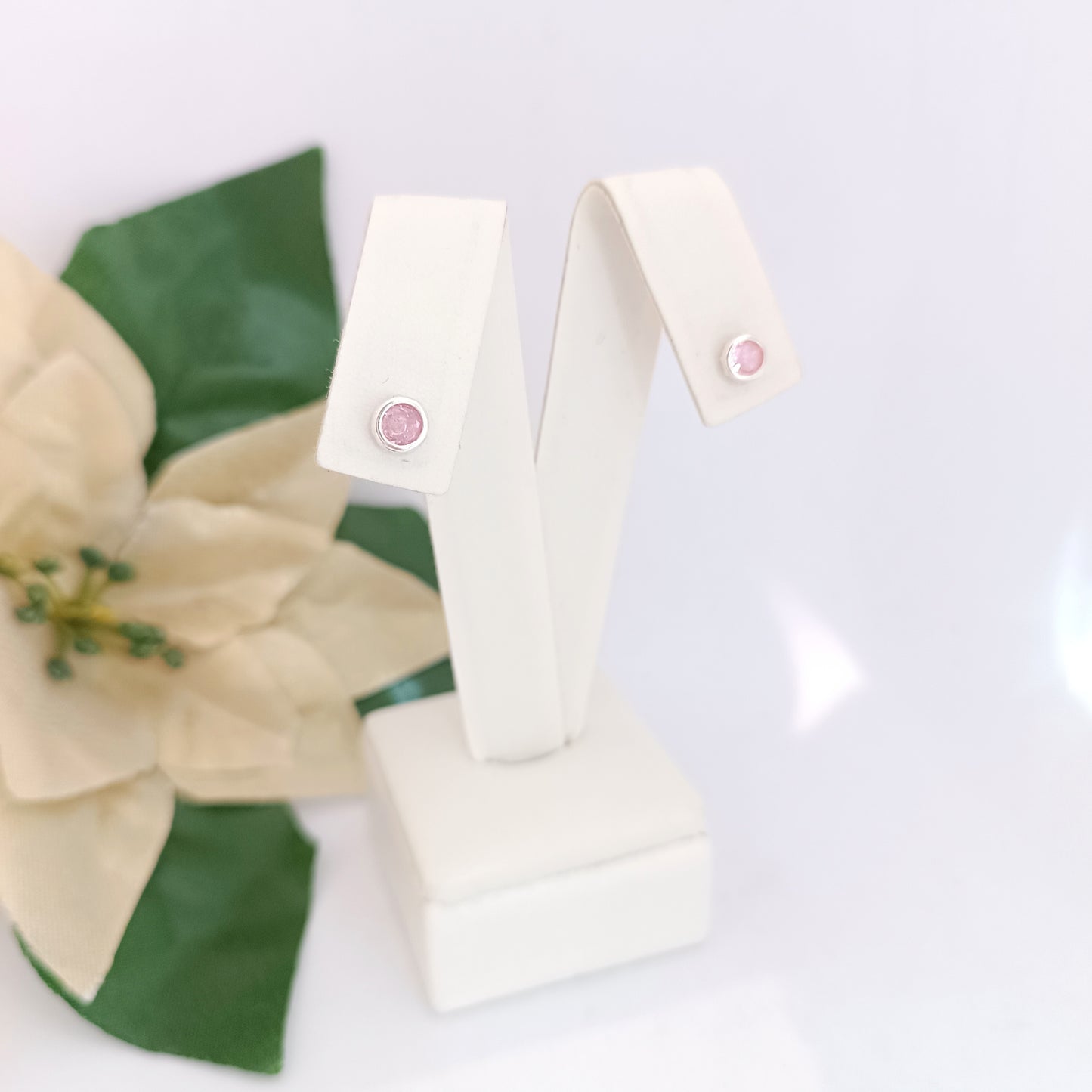 Caravanas Diferentes Modelos