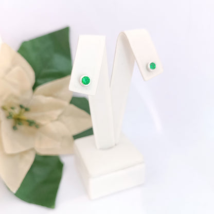 Caravanas Diferentes Modelos