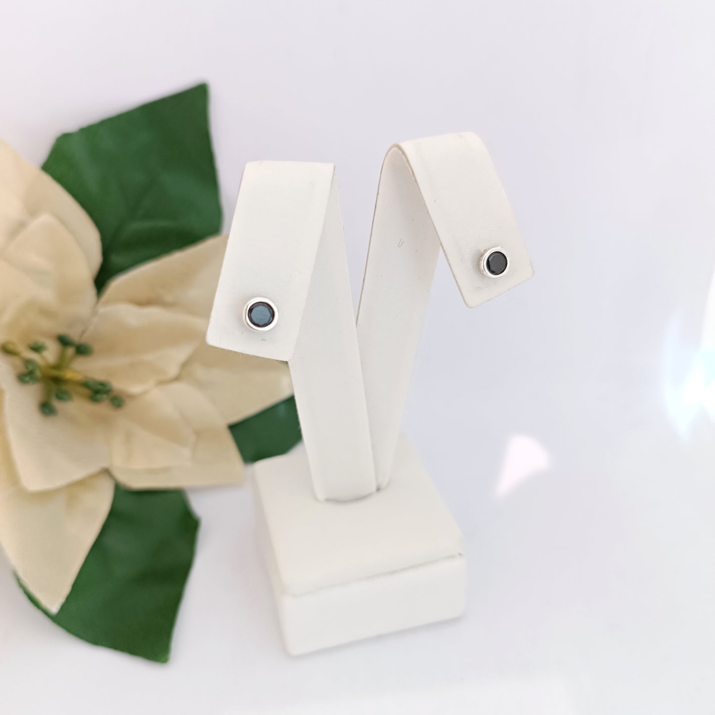 Caravanas Diferentes Modelos