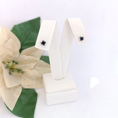 Caravanas Diferentes Modelos