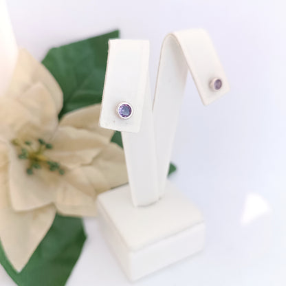 Caravanas Diferentes Modelos