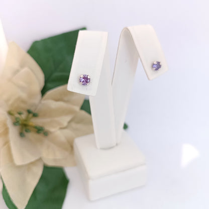 Caravanas Diferentes Modelos