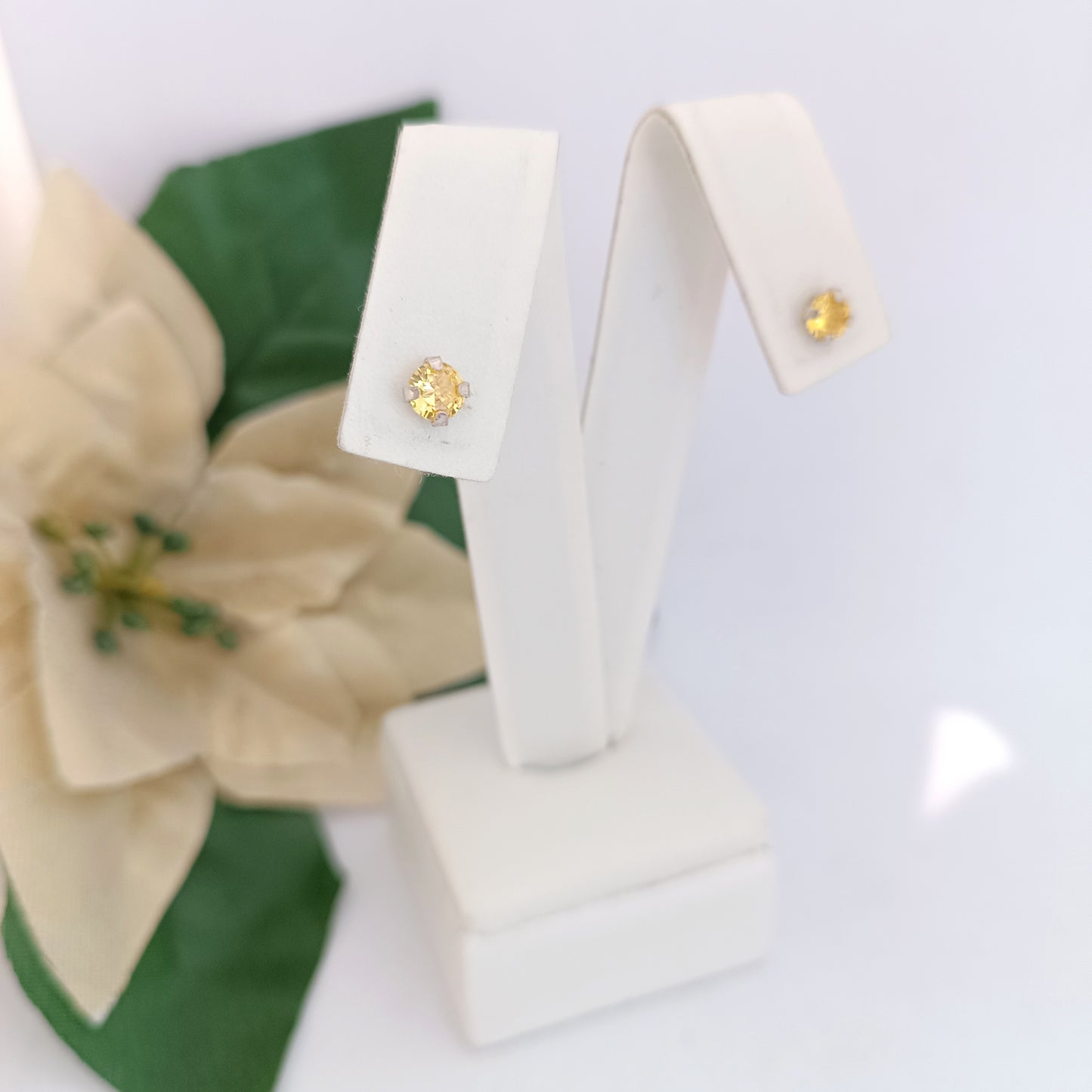 Caravanas Diferentes Modelos