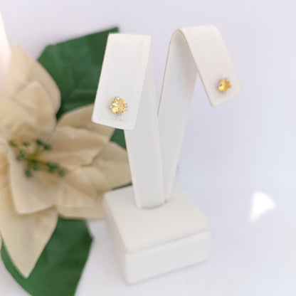 Caravanas Diferentes Modelos