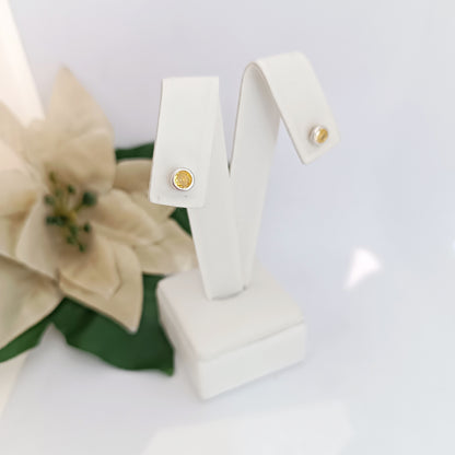 Caravanas Diferentes Modelos