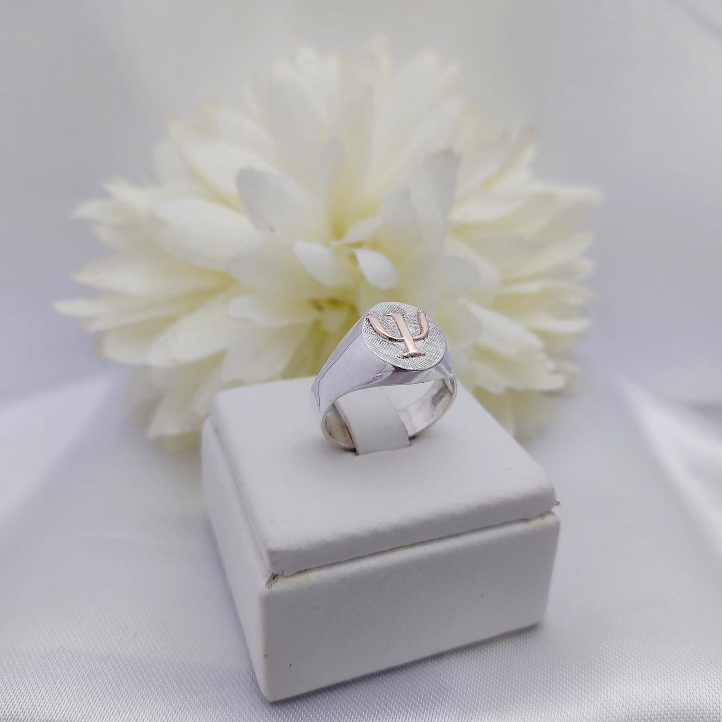 Anillos Profesión Psicología