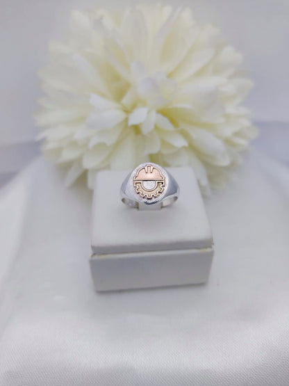 Anillo Técnico Prevencionista