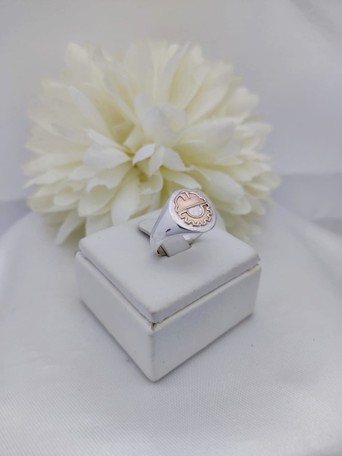 Anillo Técnico Prevencionista
