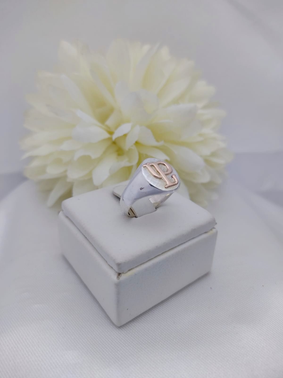 Anillo Profesión Psicopedagogía