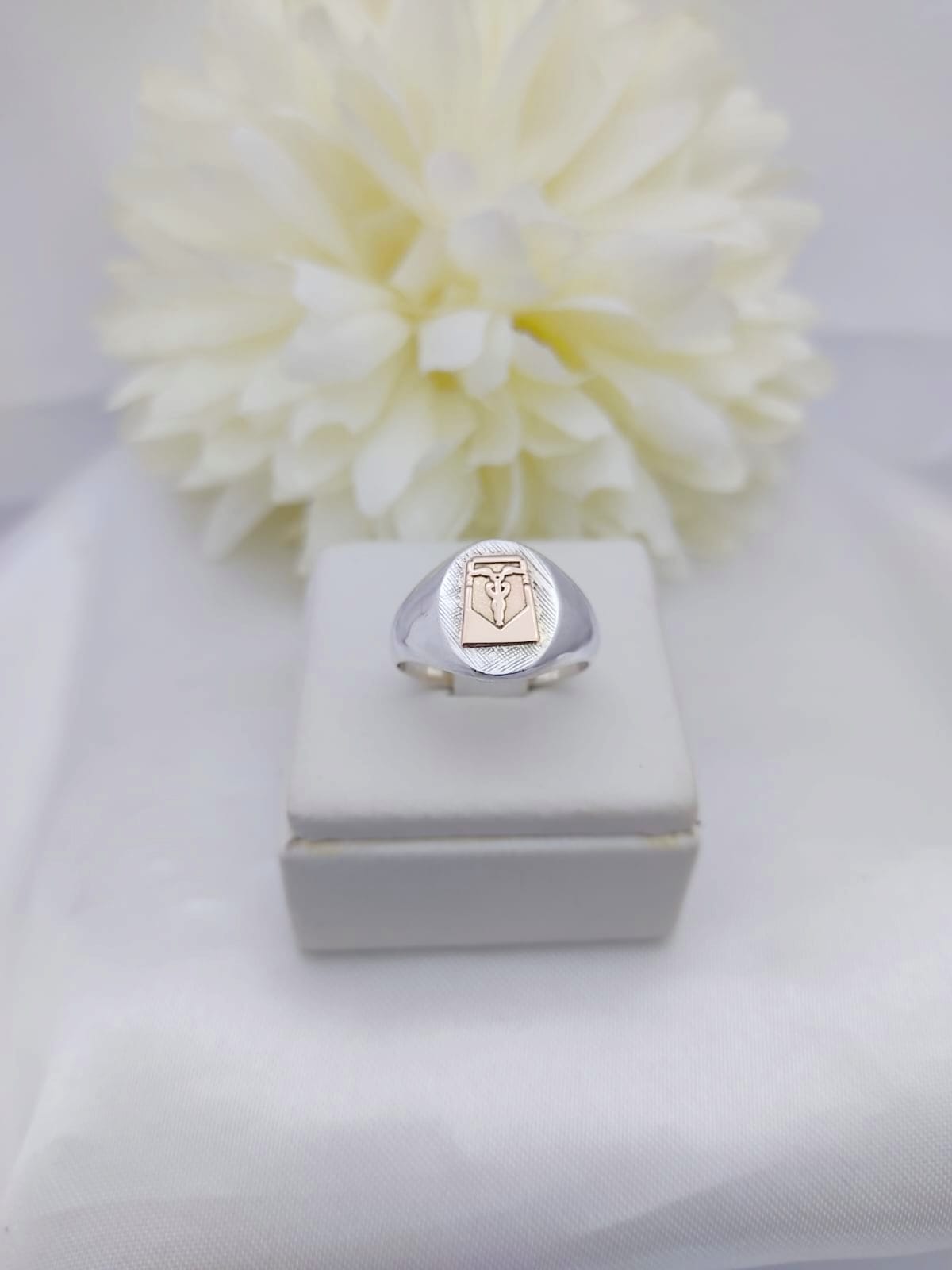 Anillos Profesión Contador