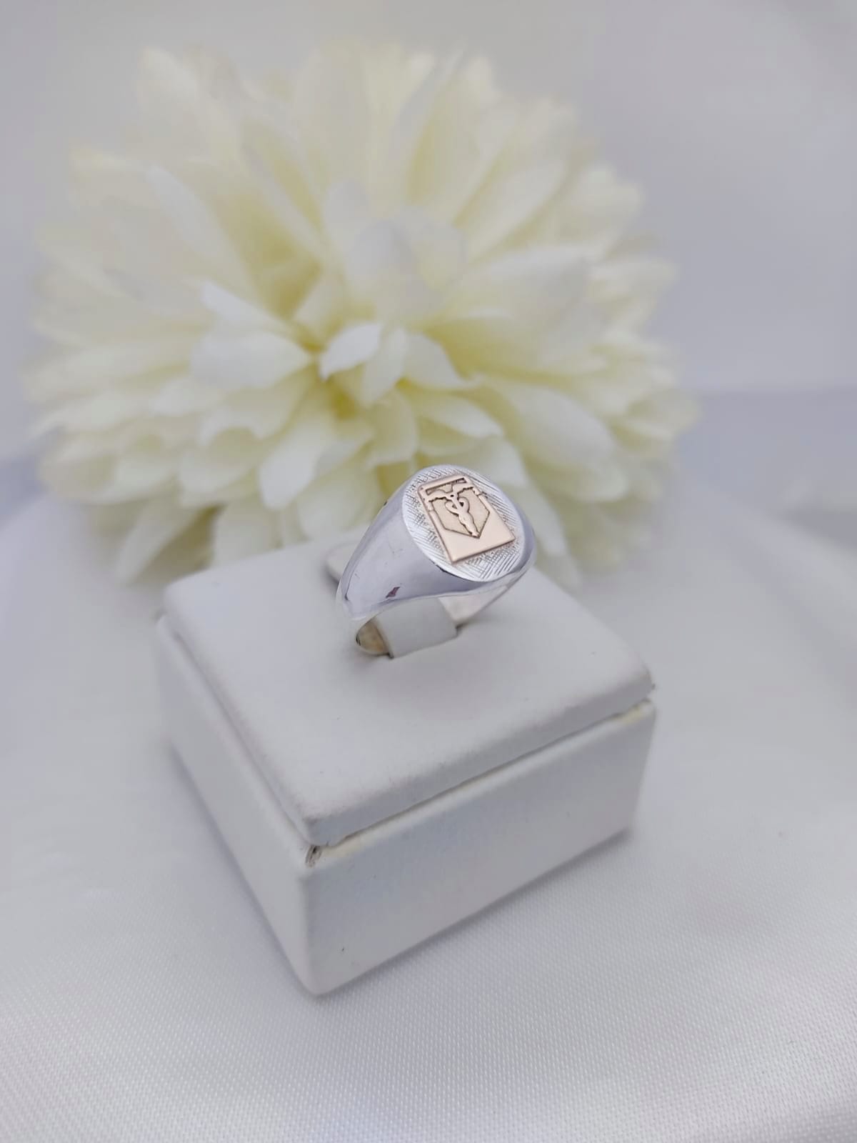 Anillos Profesión Contador