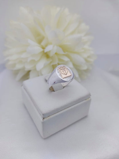Anillos Profesión Contador