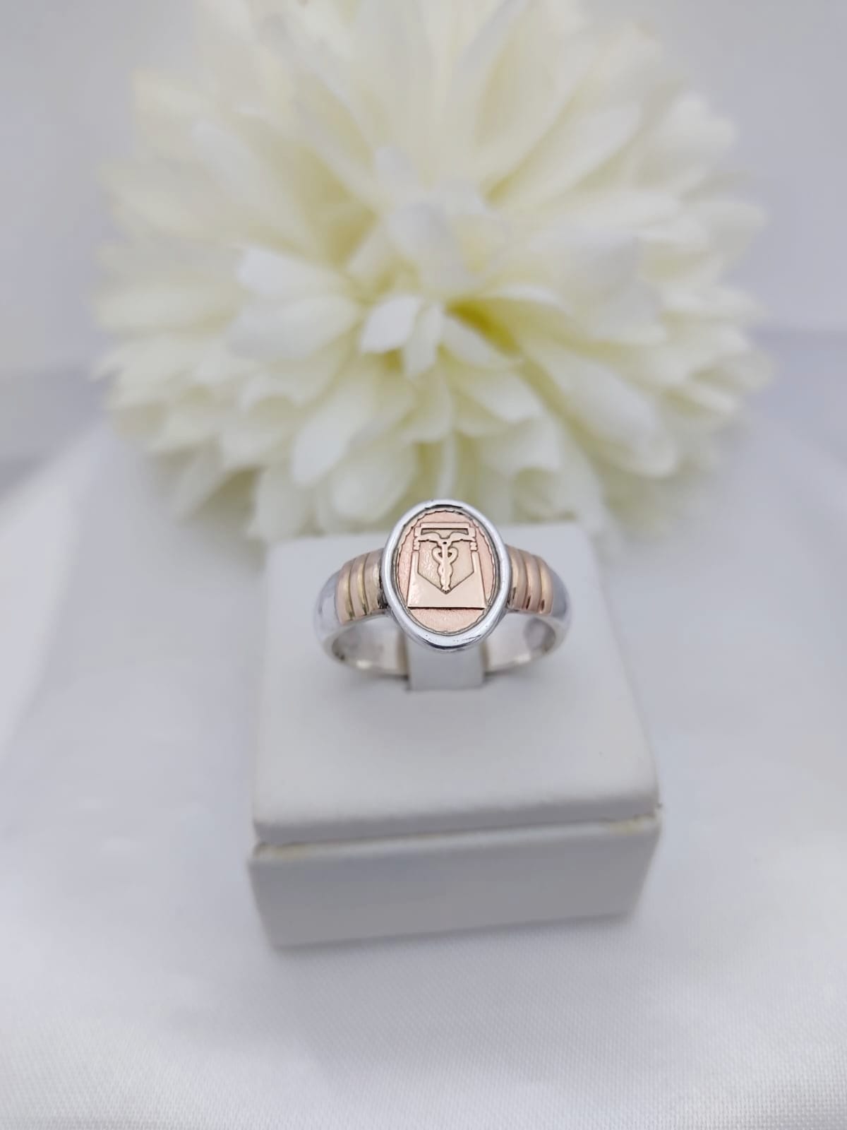 Anillos Profesión Contador