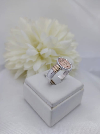 Anillos Profesión Contador