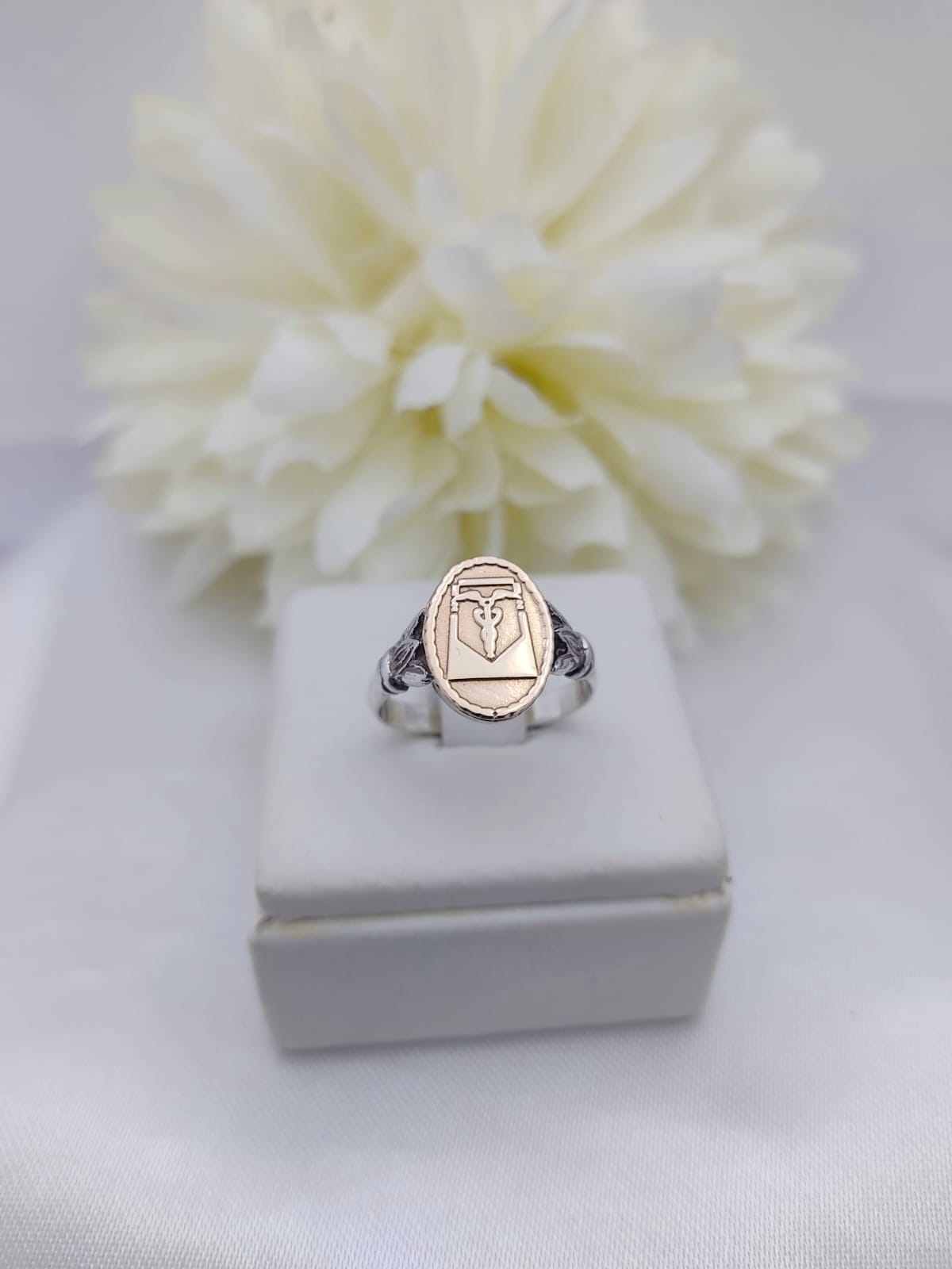 Anillos Profesión Contador