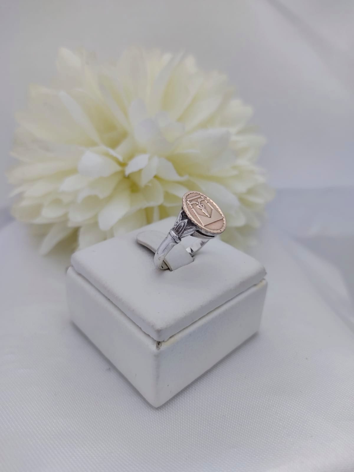 Anillos Profesión Contador
