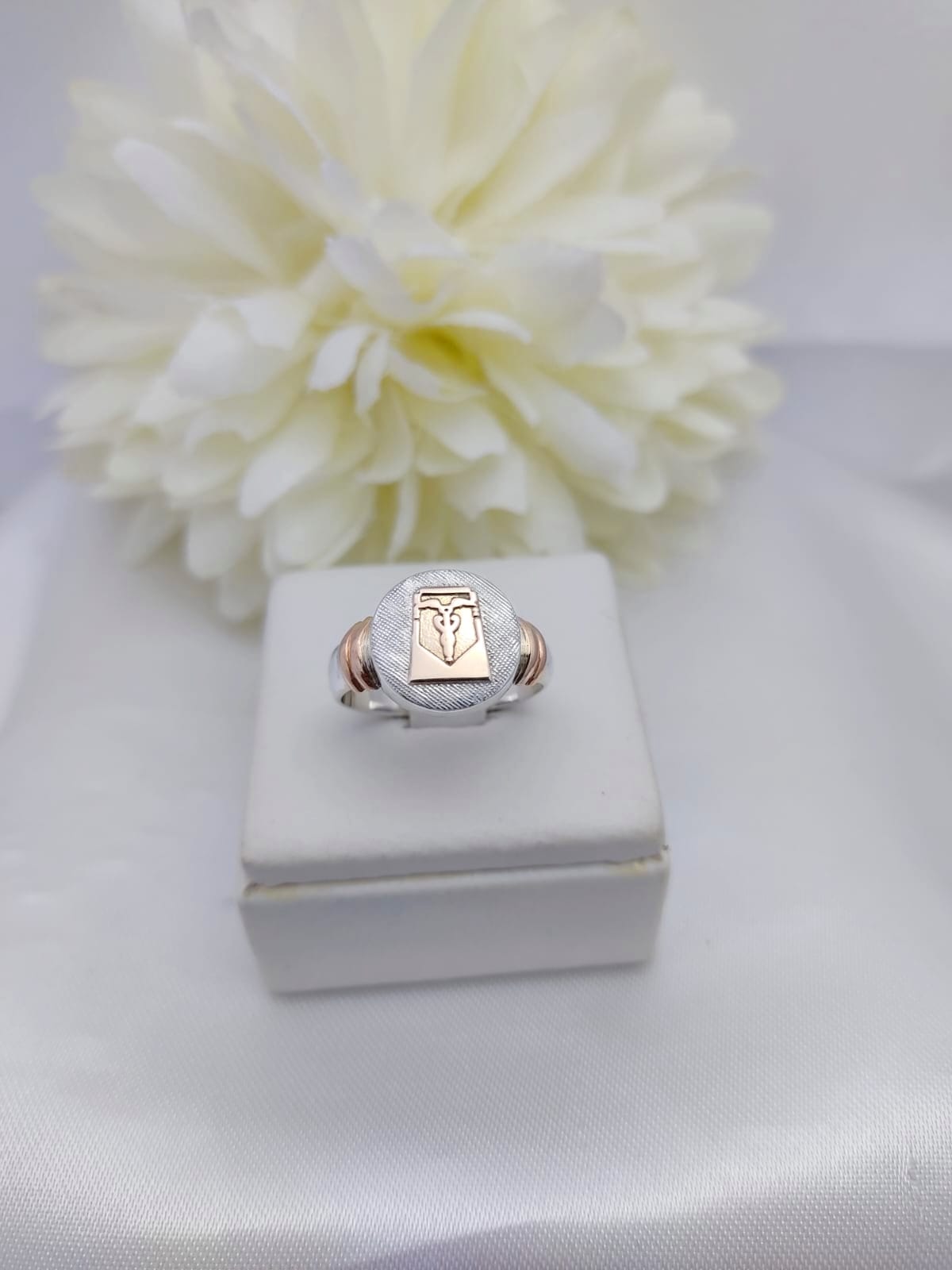 Anillos Profesión Contador