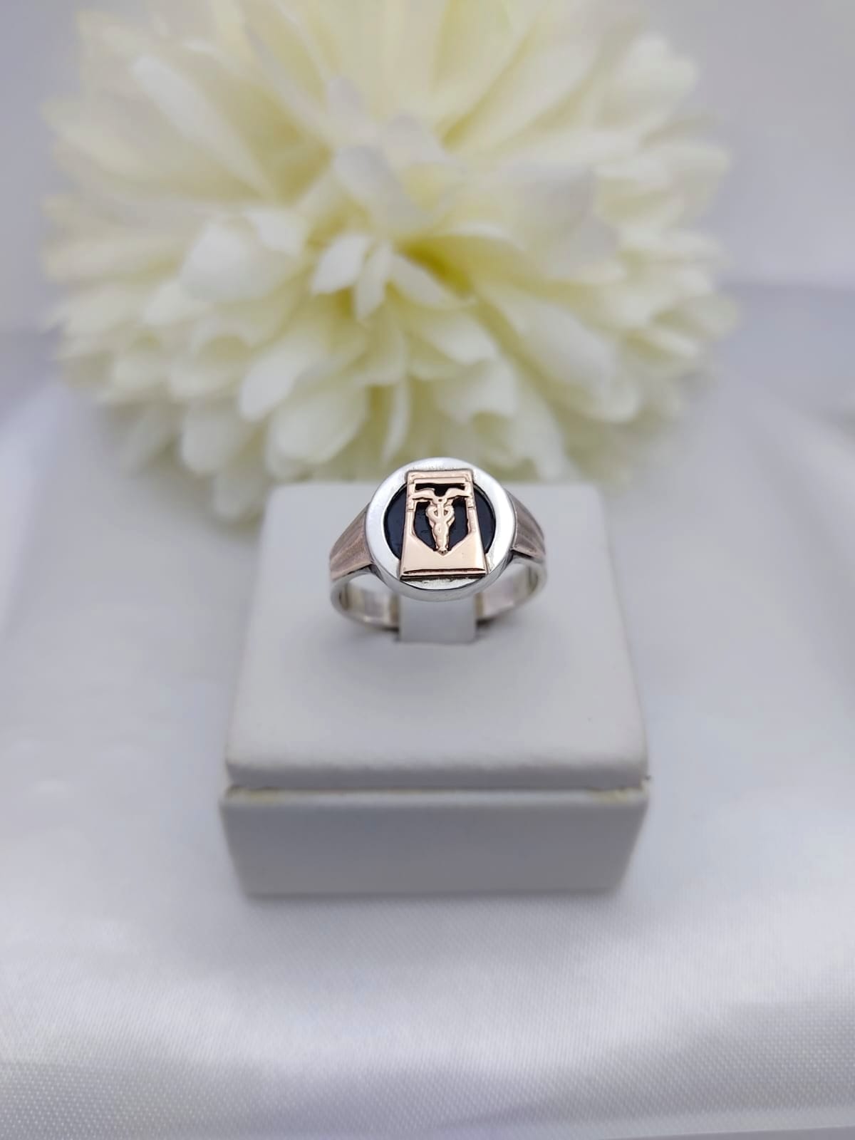 Anillos Profesión Contador