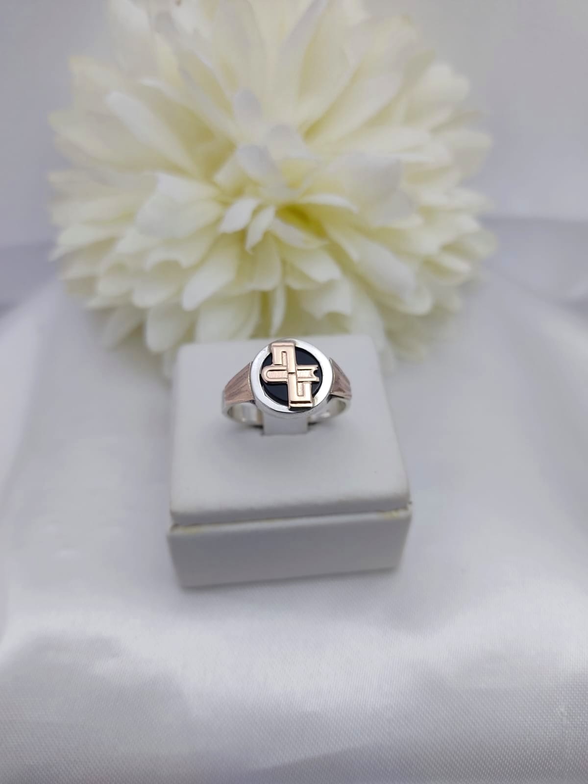 Anillos Profesión Escribano