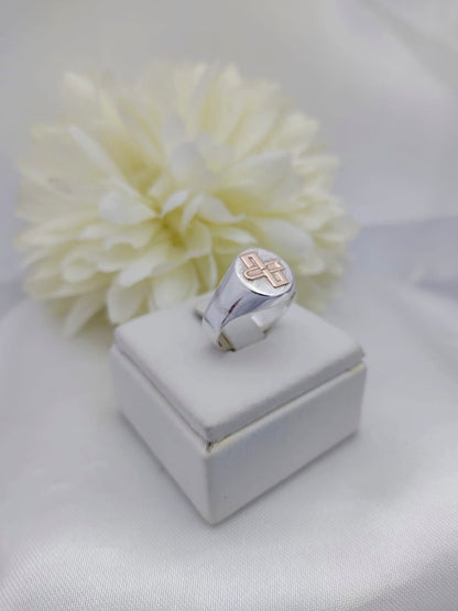 Anillos Profesión Escribano