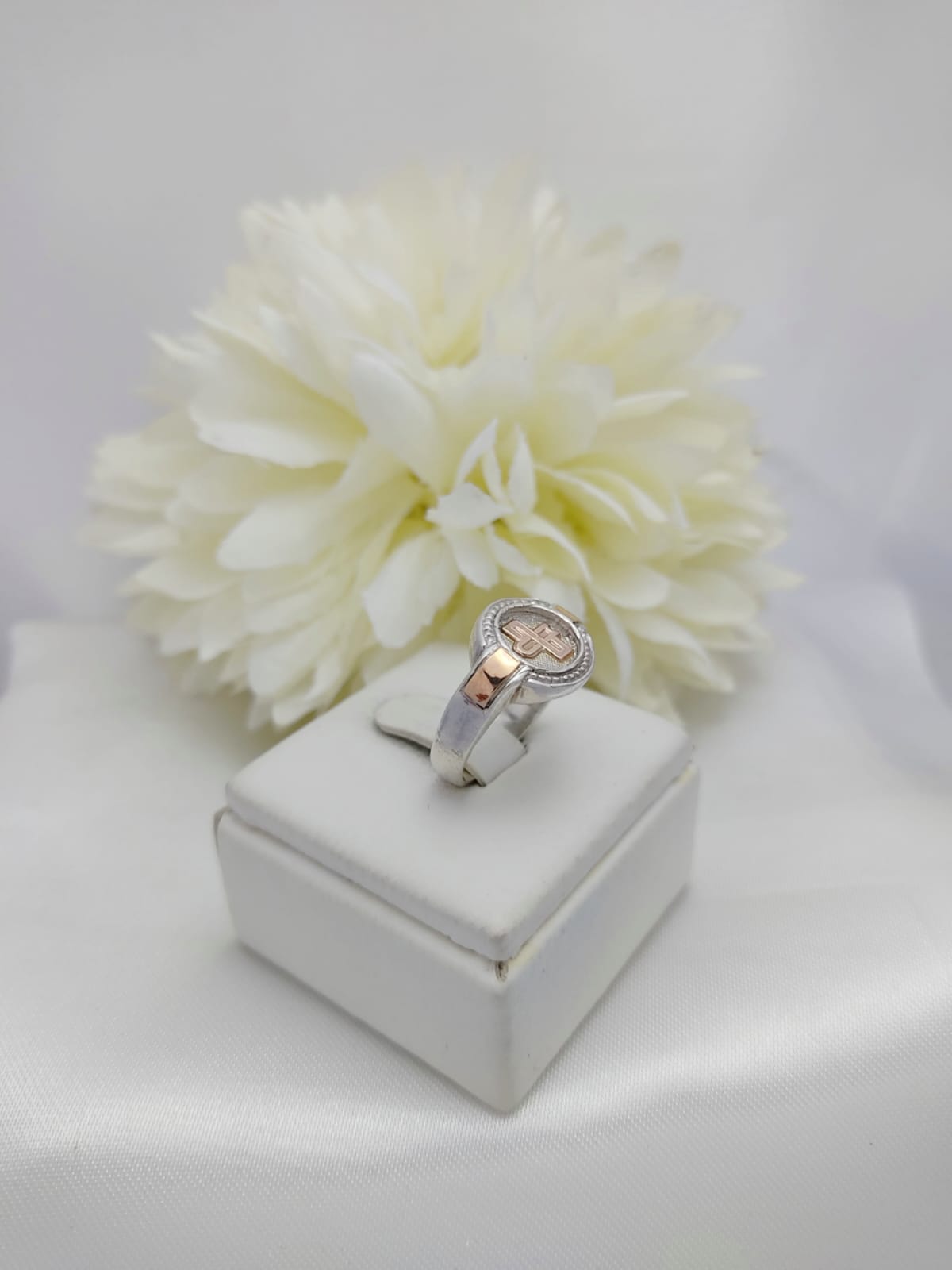 Anillos Profesión Escribano