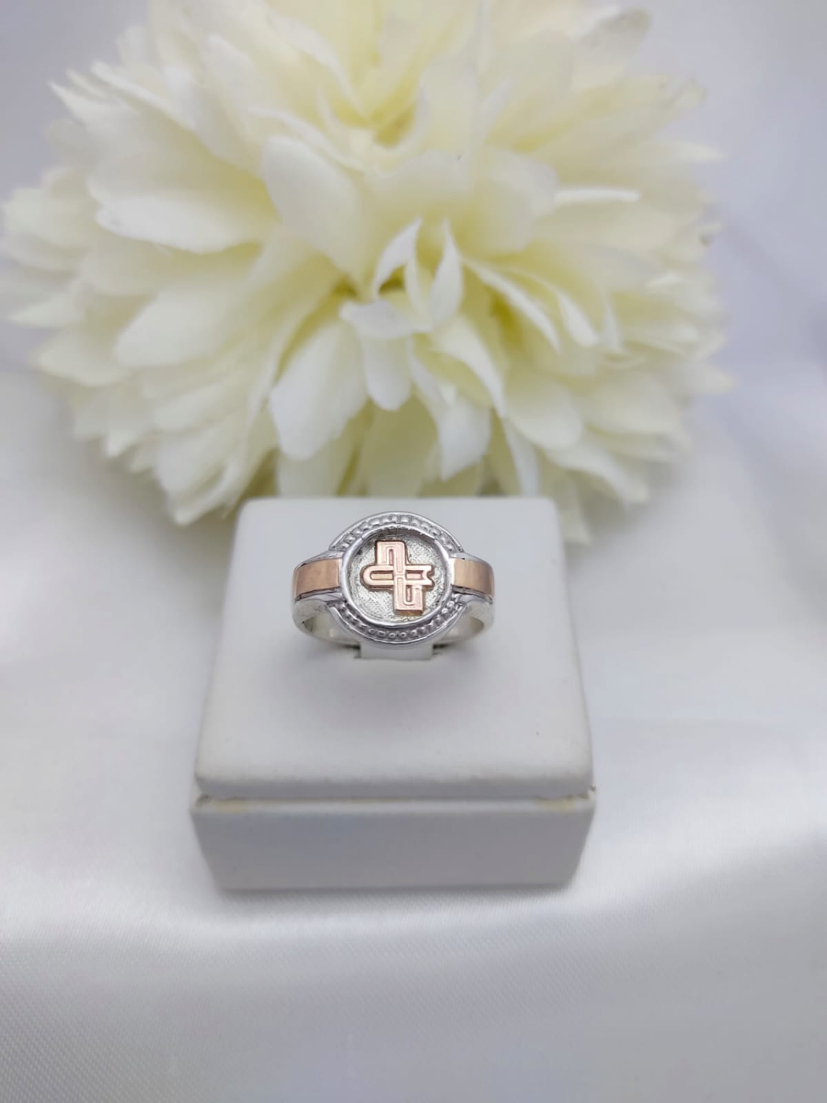 Anillos Profesión Escribano