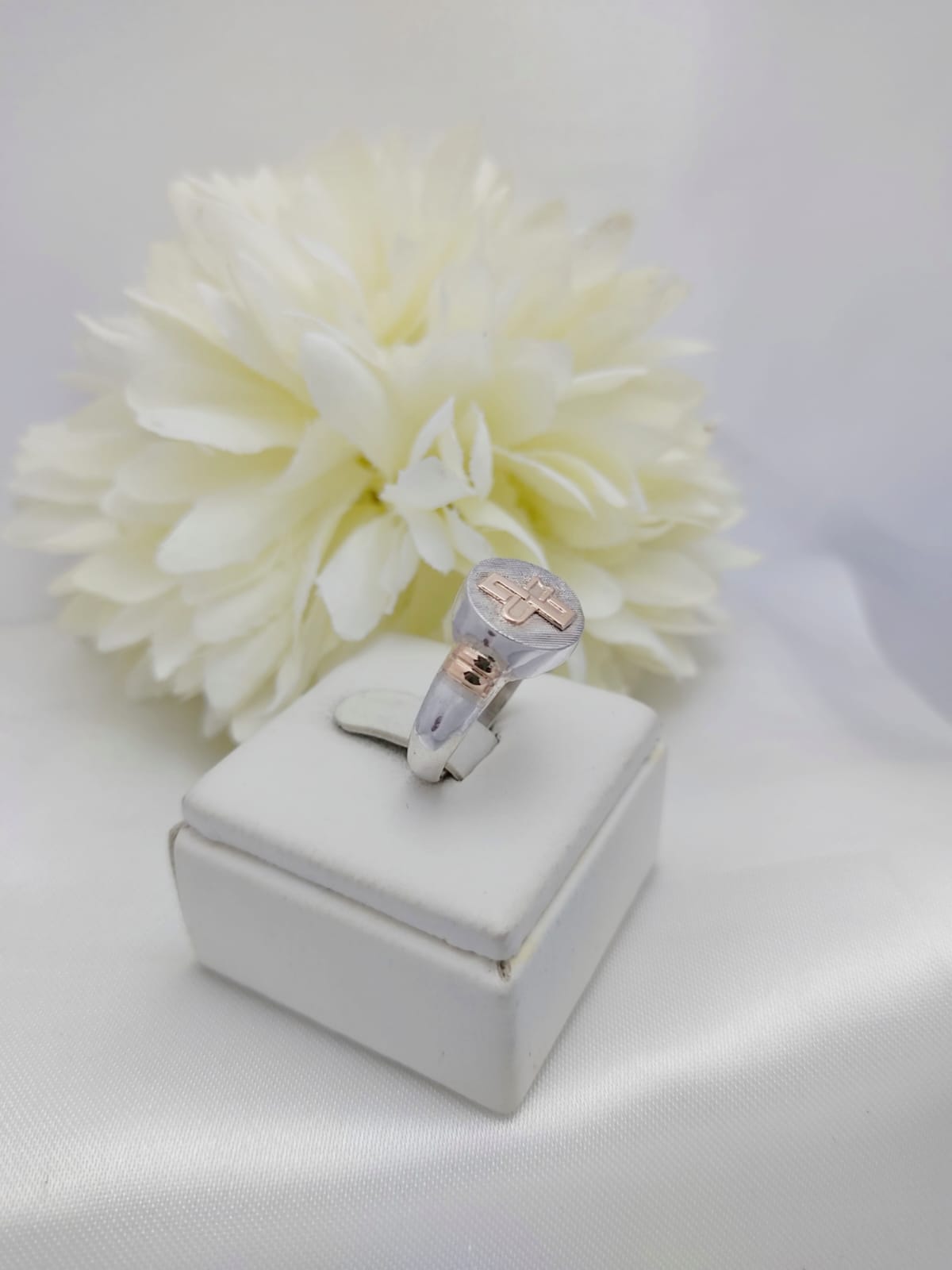 Anillos Profesión Escribano