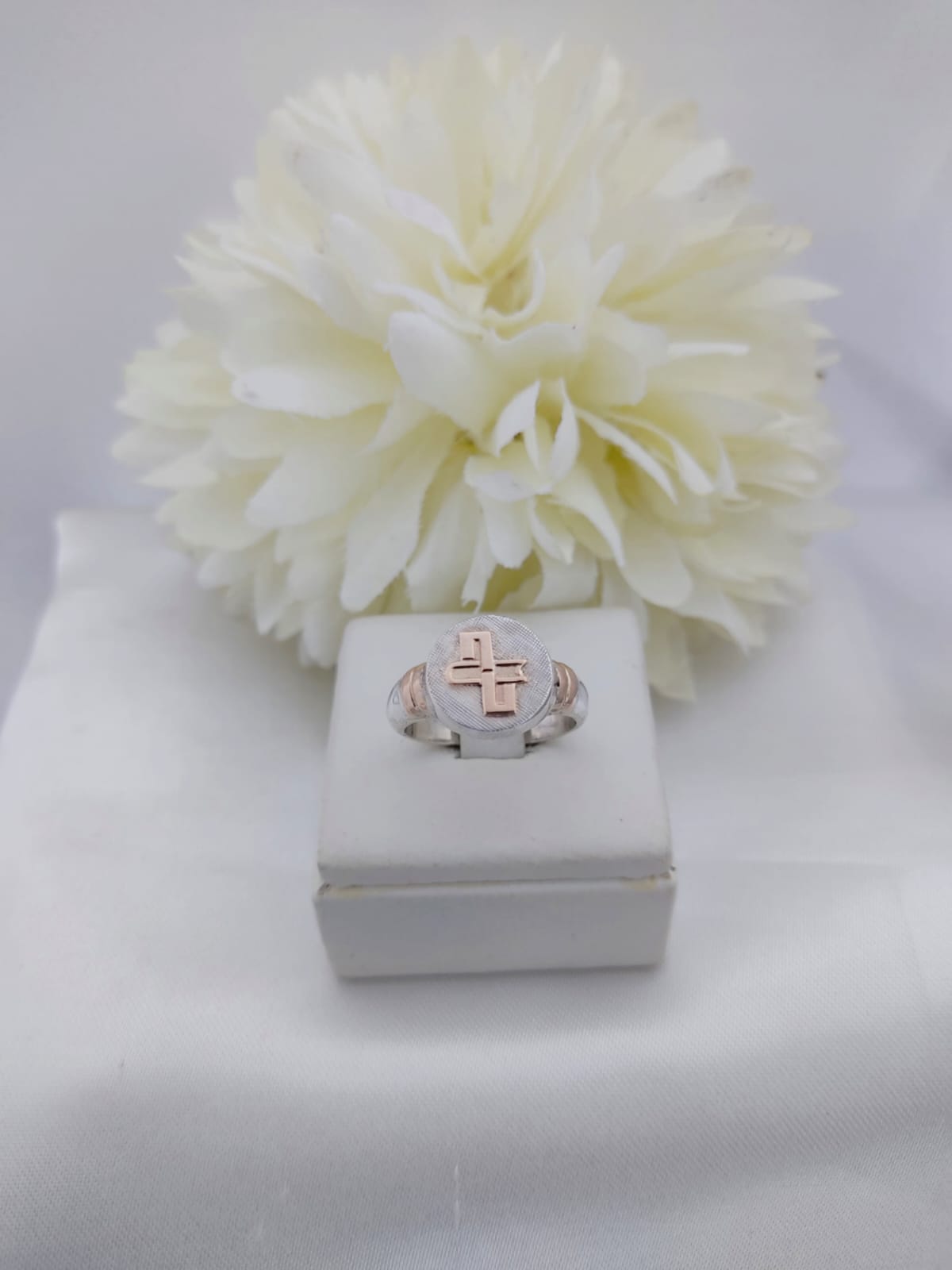 Anillos Profesión Escribano