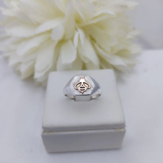 Anillos Profesión Magisterio Logo Moderno