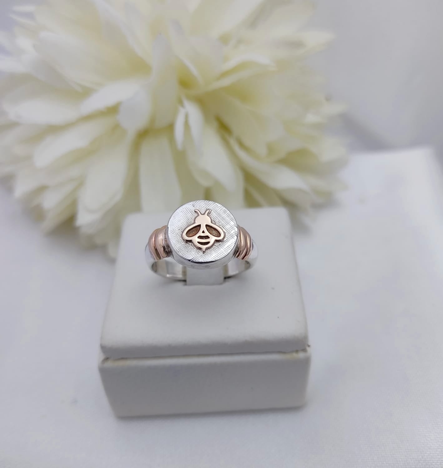Anillos Profesión Magisterio Logo Moderno