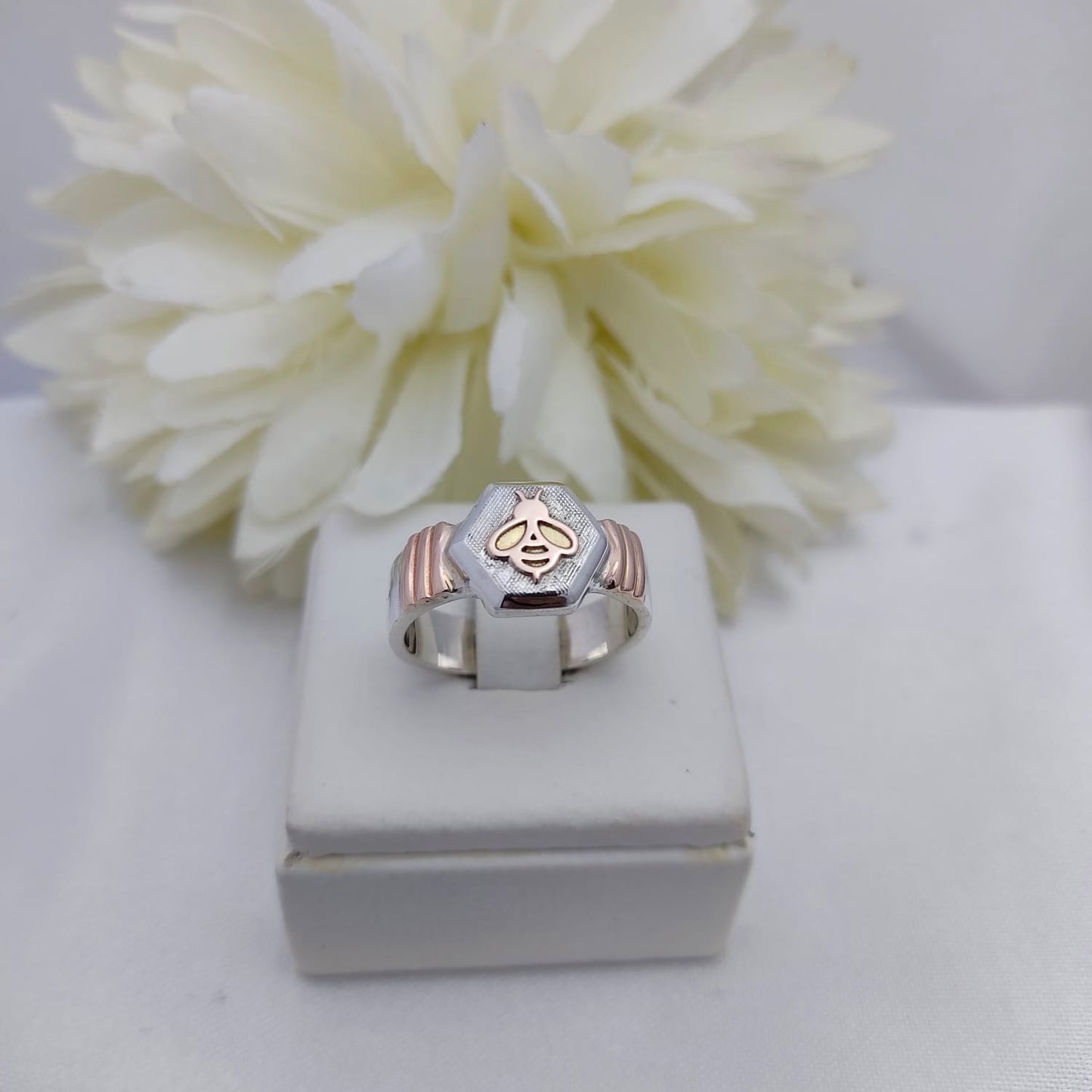 Anillos Profesión Magisterio Logo Moderno