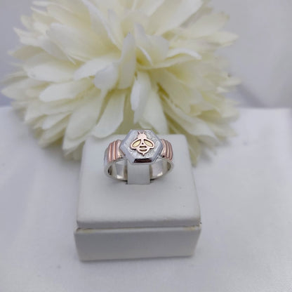 Anillos Profesión Magisterio Logo Moderno
