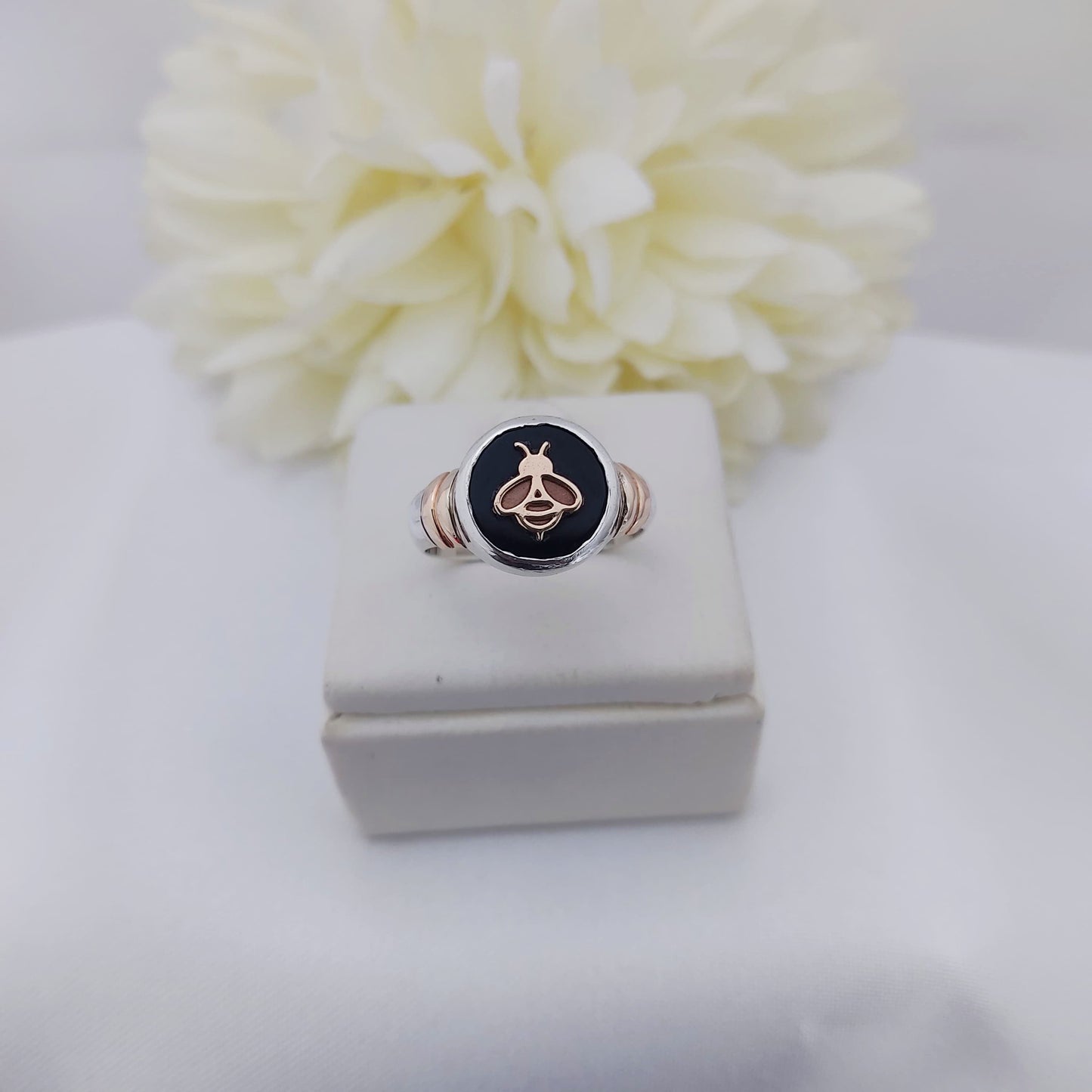 Anillos Profesión Magisterio Logo Moderno
