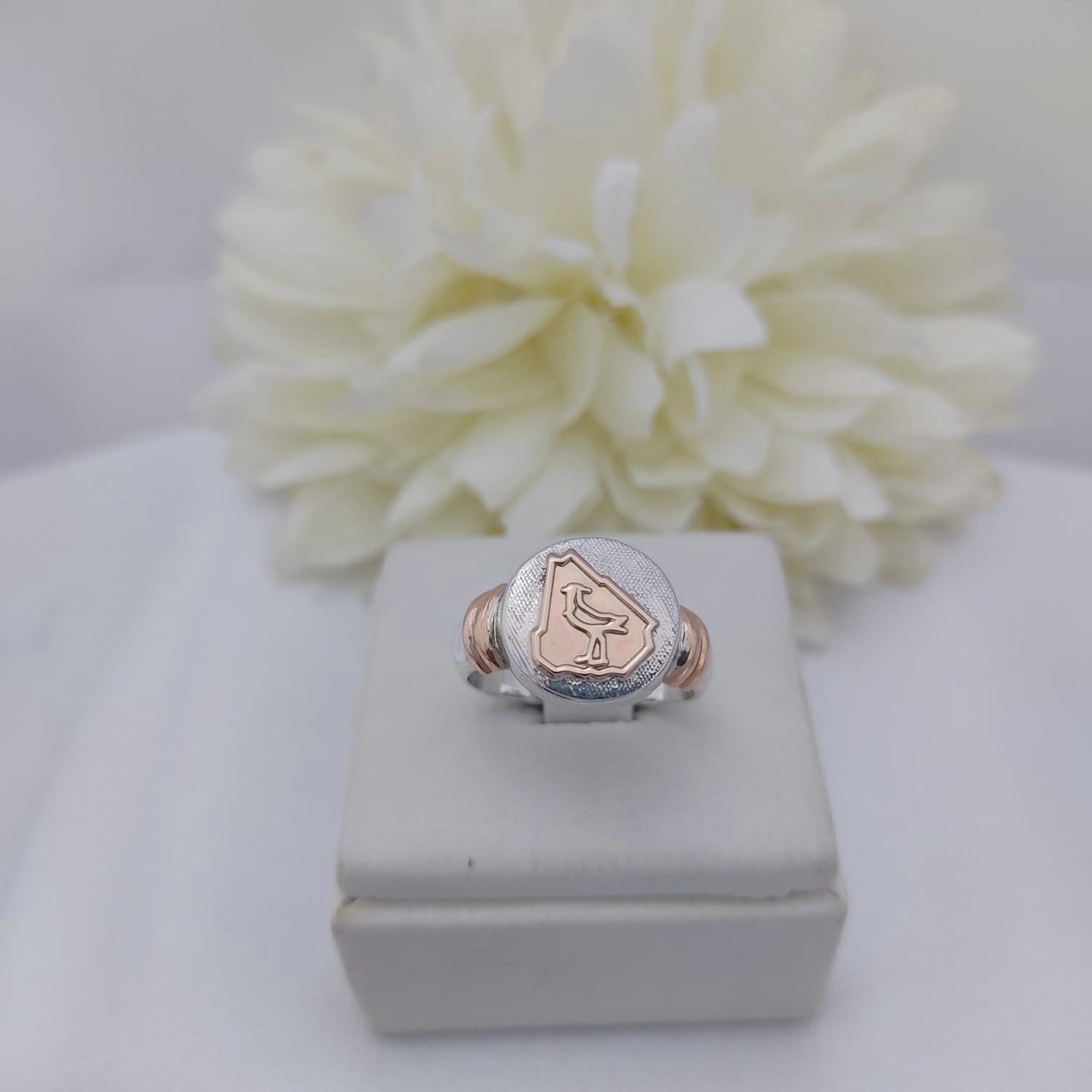 Anillos Profesión Ingeniero Agrónomo