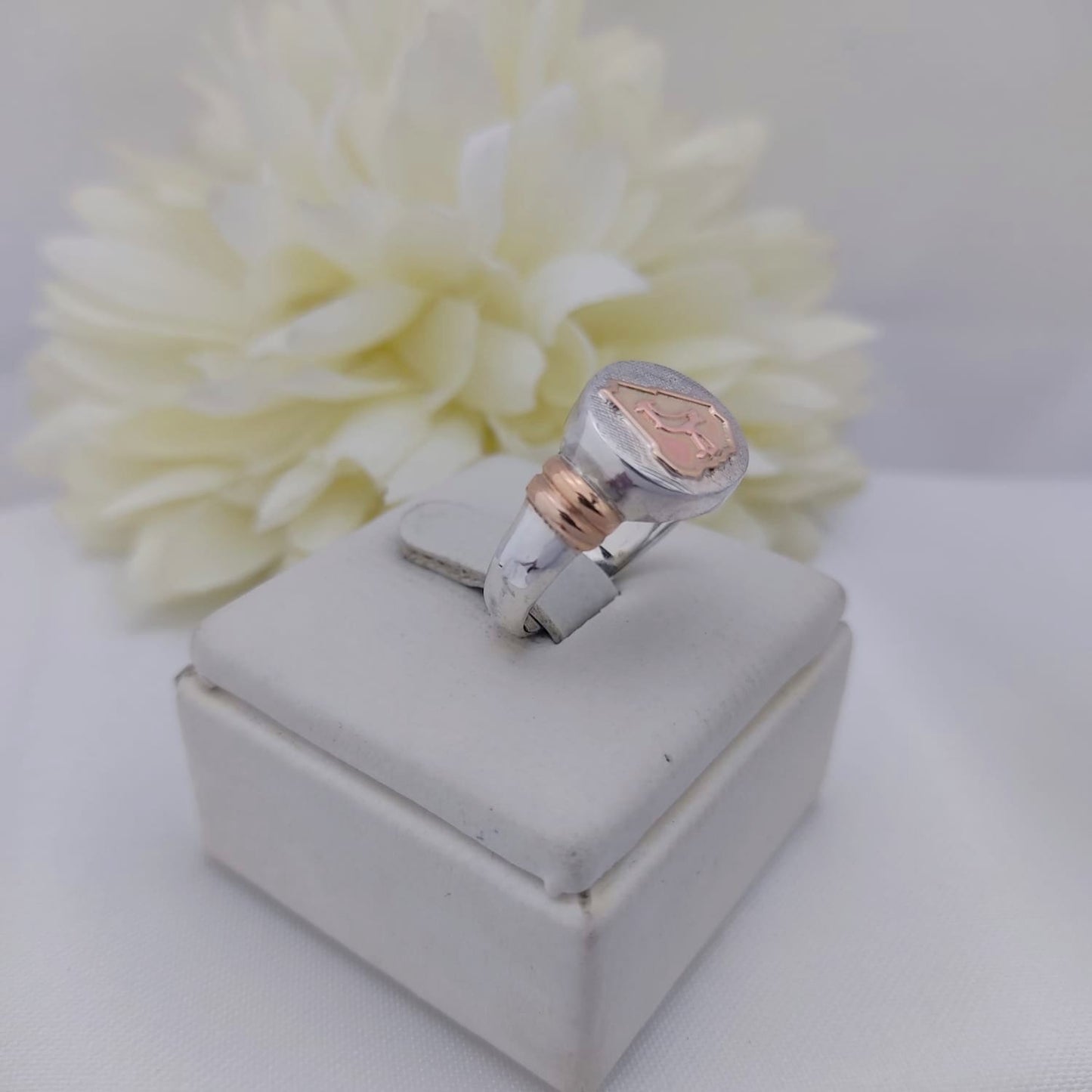 Anillos Profesión Ingeniero Agrónomo
