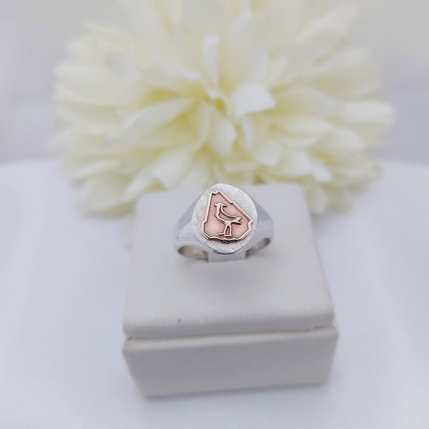 Anillos Profesión Ingeniero Agrónomo