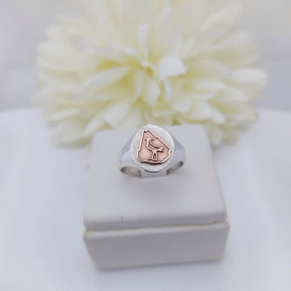 Anillos Profesión Ingeniero Agrónomo